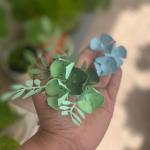 Arquivo de corte - hortênsia